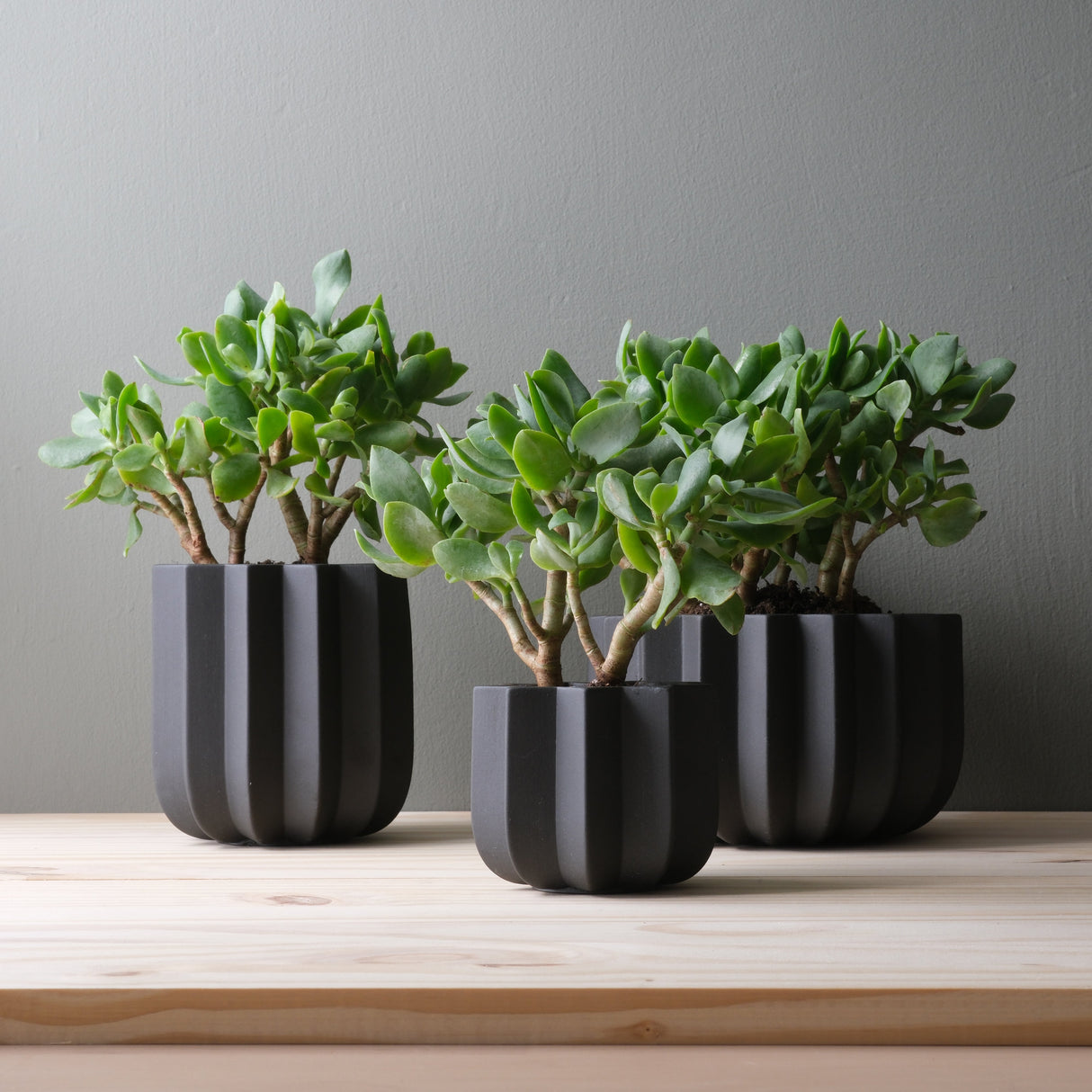 Wrap Planter - 4 sizes-Pots & Planters-Parc Decor