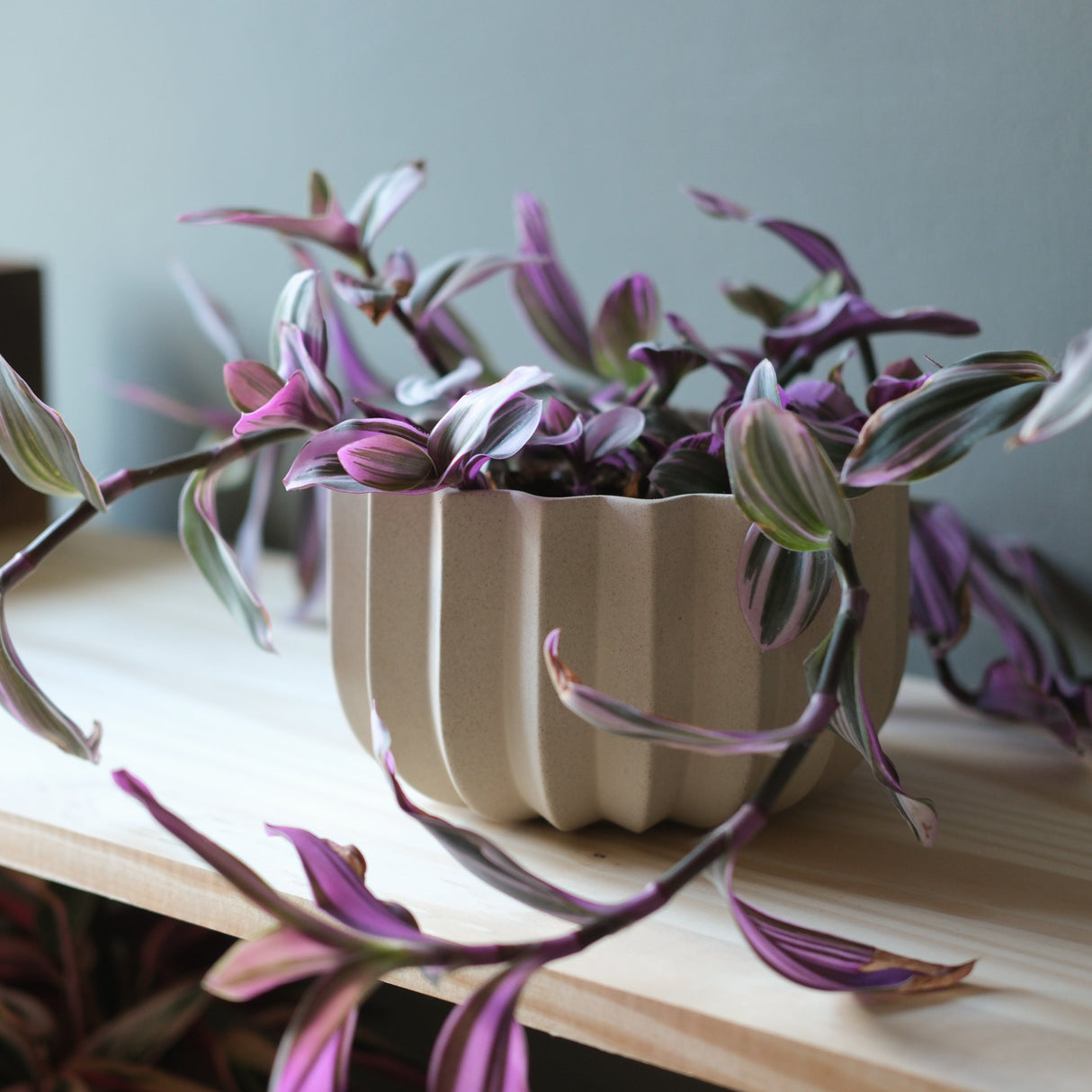 Wrap Planter - 4 sizes-Pots & Planters-Parc Decor