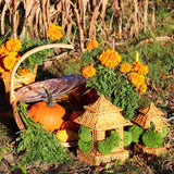 10 (+1 Free Bonus) Small Natural Rattan Pagodas – Handmade-Other Table Decoration-Parc Decor