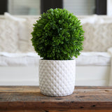 10" Artificial Boxwood Topiary Plant with Decorative Planter-Plant in Planter-Parc Decor