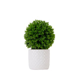 10" Artificial Boxwood Topiary Plant with Decorative Planter-Plant in Planter-Parc Decor