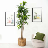 10’ Artificial Dracaena Tree with Real Touch Leaves-Tree-Parc Decor