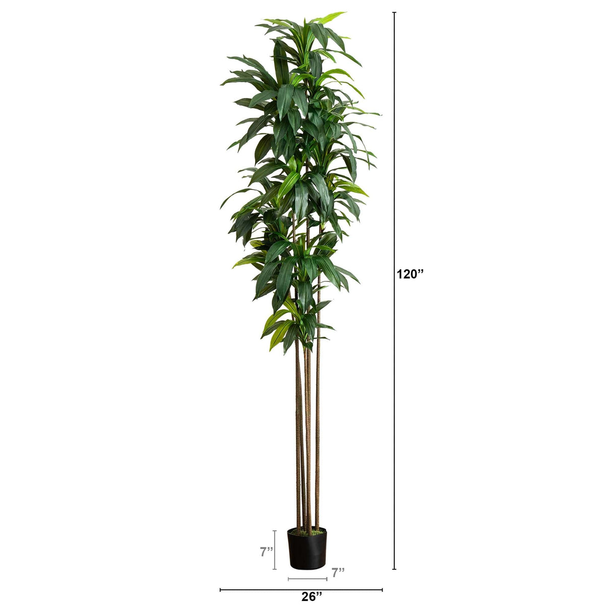 10’ Artificial Dracaena Tree with Real Touch Leaves-Tree-Parc Decor