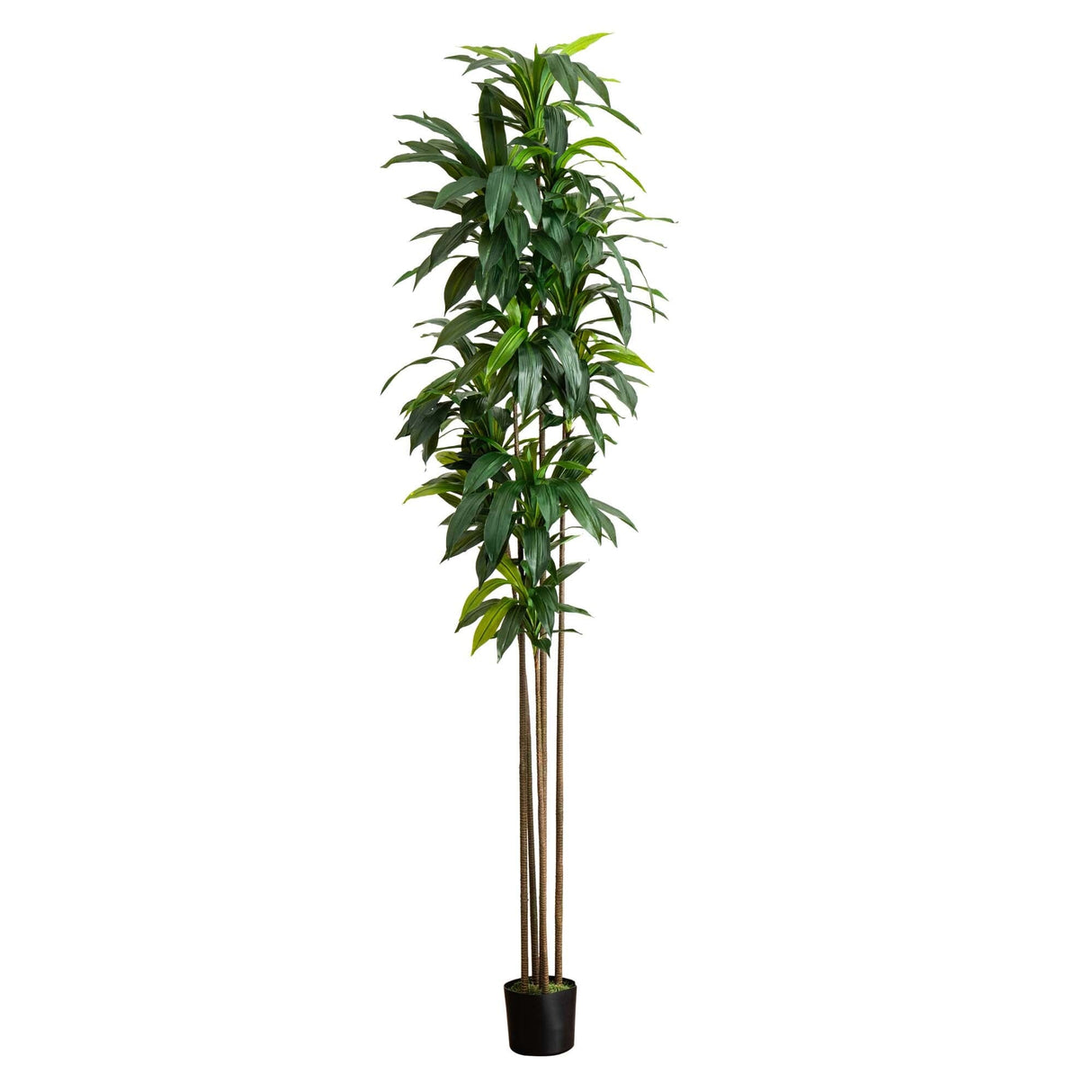 10’ Artificial Dracaena Tree with Real Touch Leaves-Tree-Parc Decor