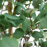 10’ Artificial Eucalyptus Tree-Tree-Parc Decor