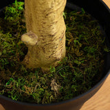 10’ Artificial Eucalyptus Tree-Tree-Parc Decor