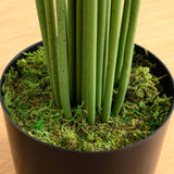 10’ Artificial Paradise Palm Tree-Tree-Parc Decor