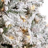 10' Flocked White River Mountain Pine Christmas Tree with Pinecones and 800 Clear LED Lights-Christmas Tree-Parc Decor