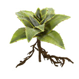 10” Succulent Artificial Plant with Roots (Set of 3)-Stem-Parc Decor