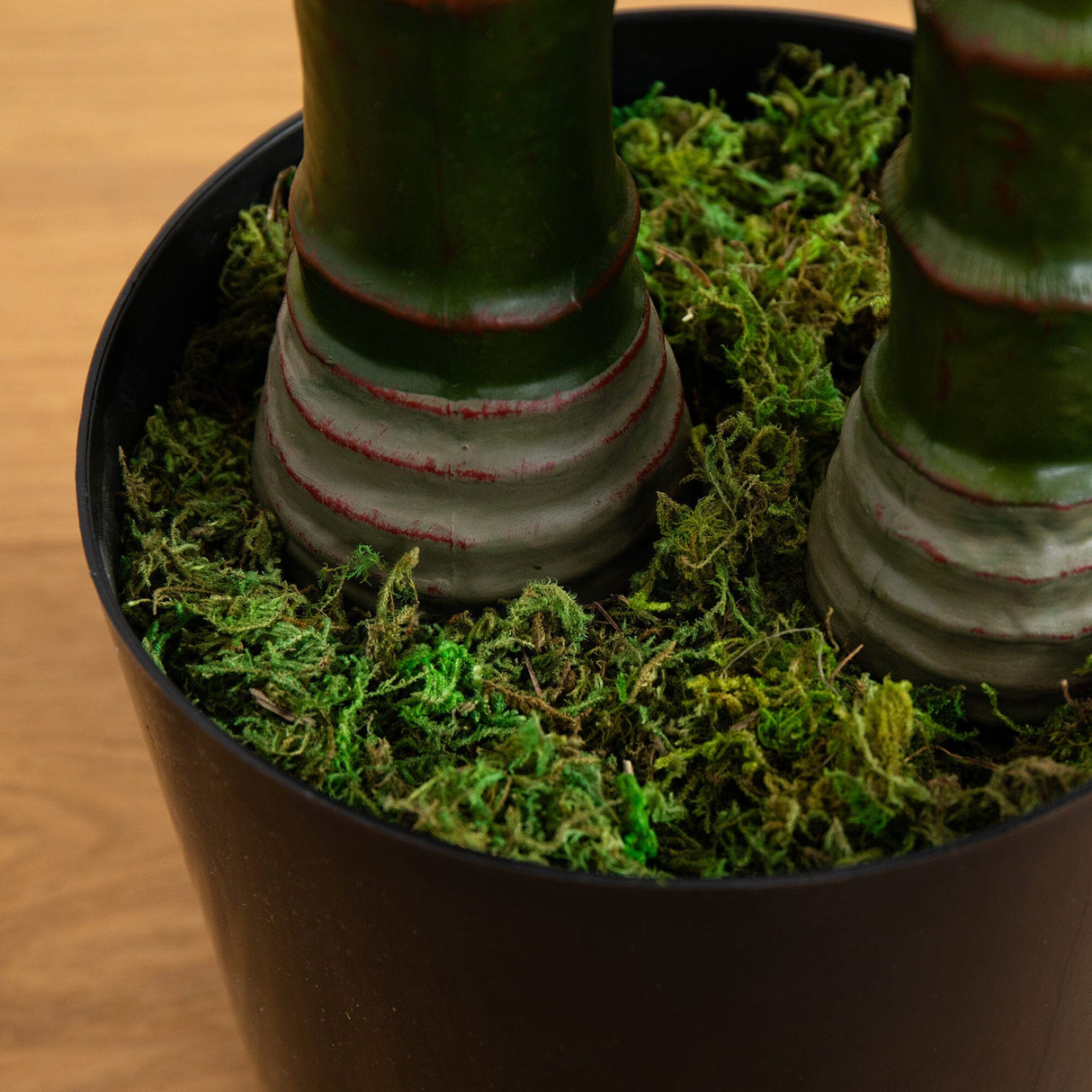 10’ UV Resistant Artificial Double Robellini Palm Tree (Indoor/Outdoor)-Tree-Parc Decor