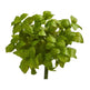 11” Basil Artificial Plant (Set of 6)-Parc Decor