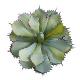 11” Succulent Artificial Plant-Parc Decor