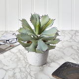 11” Succulent Artificial Plant-Parc Decor