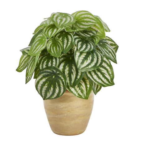 11” Watermelon Peperomia Artificial Plant in Ceramic Planter (Real Touch)-Parc Decor