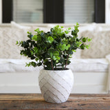 11” Artificial Boxwood Plant with Decorative Planter-Plant in Planter-Parc Decor