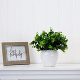 11” Artificial Boxwood Plant with Decorative Planter-Plant in Planter-Parc Decor