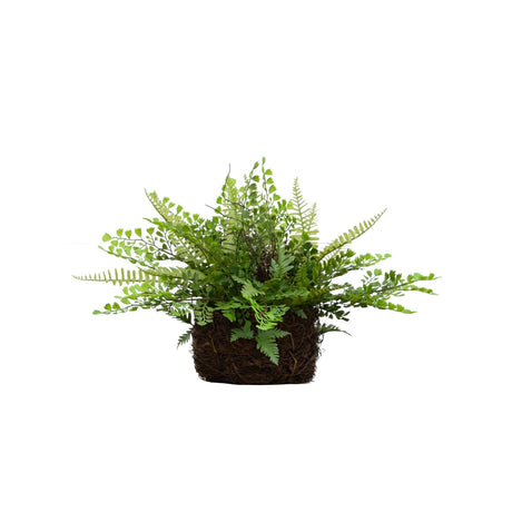 11" Artificial Mixed Fern Plant with Twig and Moss Basket