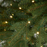 11’ Belgium Fir “Natural Look” Artificial Christmas Tree with 1250 Clear LED Lights and 4222 Bendable Branches-Christmas Tree-Parc Decor