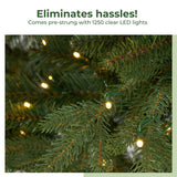 11’ Belgium Fir “Natural Look” Artificial Christmas Tree with 1250 Clear LED Lights and 4222 Bendable Branches-Christmas Tree-Parc Decor