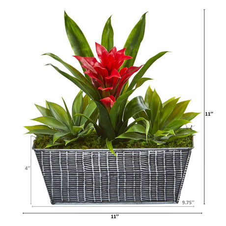 11” Bromeliad and Agave Plant in Black Tin Planter-Plant in Planter-Parc Decor