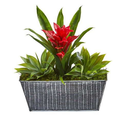 11” Bromeliad and Agave Plant in Black Tin Planter-Plant in Planter-Parc Decor