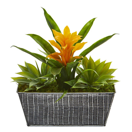 11” Bromeliad and Agave Plant in Black Tin Planter-Plant in Planter-Parc Decor