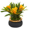 11” Bromeliad Artificial Plant in Stoneware Planter-Plant in Planter-Parc Decor