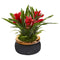 11” Bromeliad Artificial Plant in Stoneware Planter-Plant in Planter-Parc Decor