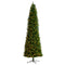 11’ Slim Green Mountain Pine Christmas Tree with 950 Clear LED Lights and 2836 Bendable Branches-Christmas Tree-Parc Decor