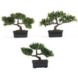 12" Bonsai Silk Plant Collection (Set of 3)"-Parc Decor
