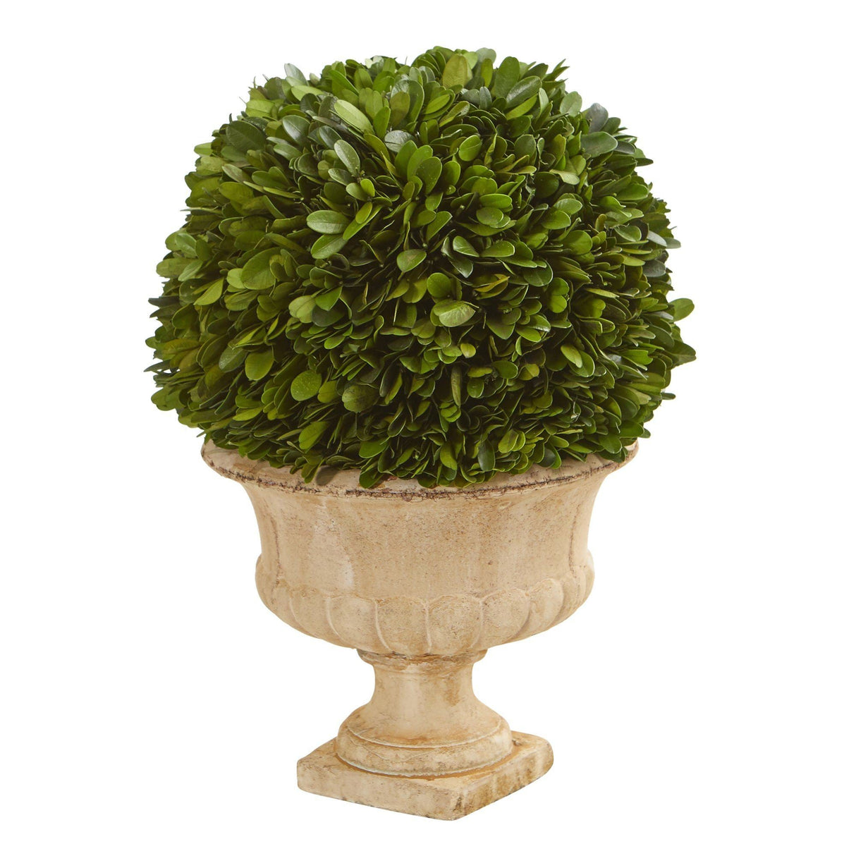 12” Boxwood Topiary Ball Preserved Plant in Decorative Urn-Parc Decor