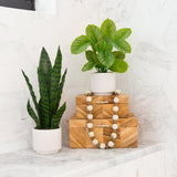12" Artificial Calathea Plant with Decorative Planter-Plant in Planter-Parc Decor