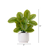 12" Artificial Calathea Plant with Decorative Planter-Plant in Planter-Parc Decor