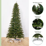 12’ Belgium Fir “Natural Look” Artificial Christmas Tree with 1500 Clear LED Lights and 4962 Bendable Branches-Christmas Tree-Parc Decor