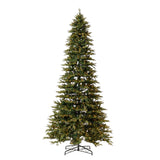 12’ Belgium Fir “Natural Look” Artificial Christmas Tree with 1500 Clear LED Lights and 4962 Bendable Branches-Christmas Tree-Parc Decor