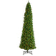 12’ Slim Green Mountain Pine Artificial Christmas Tree with 1100 Clear LED Lights and 3235 Tips-Christmas Tree-Parc Decor