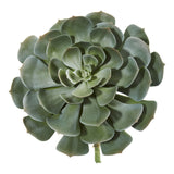 13” Giant Echeveria Succulent Pick Artificial Plant (Set of 2)-Parc Decor