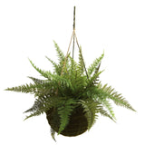 13" Leather Fern Hanging Basket w/ Moss - Set of 2 + (Indoor/Outdoor)-Parc Decor