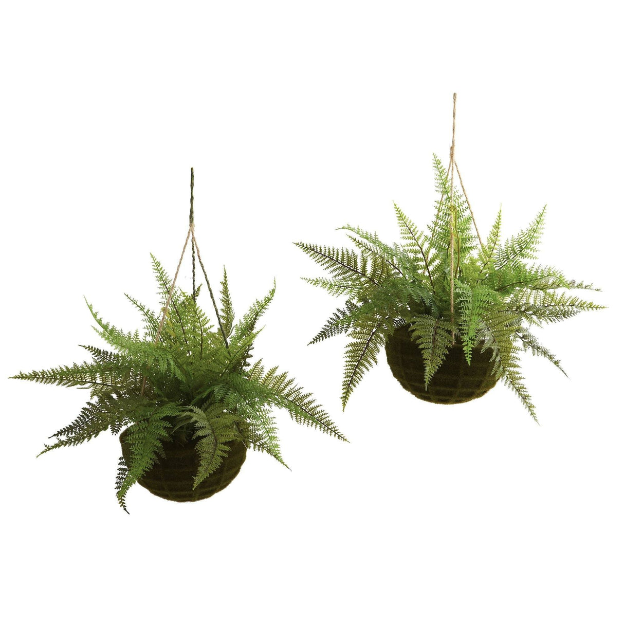 13" Leather Fern Hanging Basket w/ Moss - Set of 2 + (Indoor/Outdoor)-Parc Decor