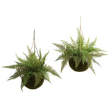 13" Leather Fern Hanging Basket w/ Moss - Set of 2 + (Indoor/Outdoor)-Parc Decor