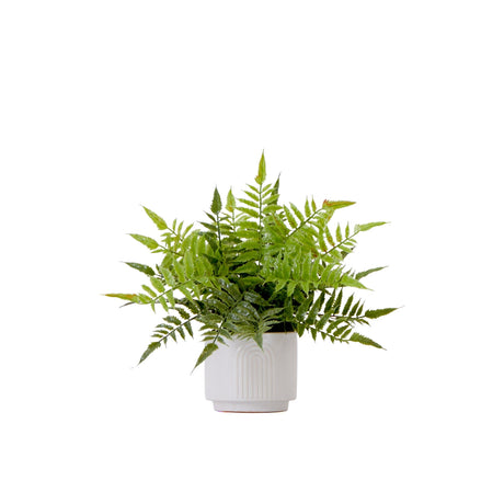 13" Artificial Boston Fern Plant with Decorative Planter-Plant in Planter-Parc Decor