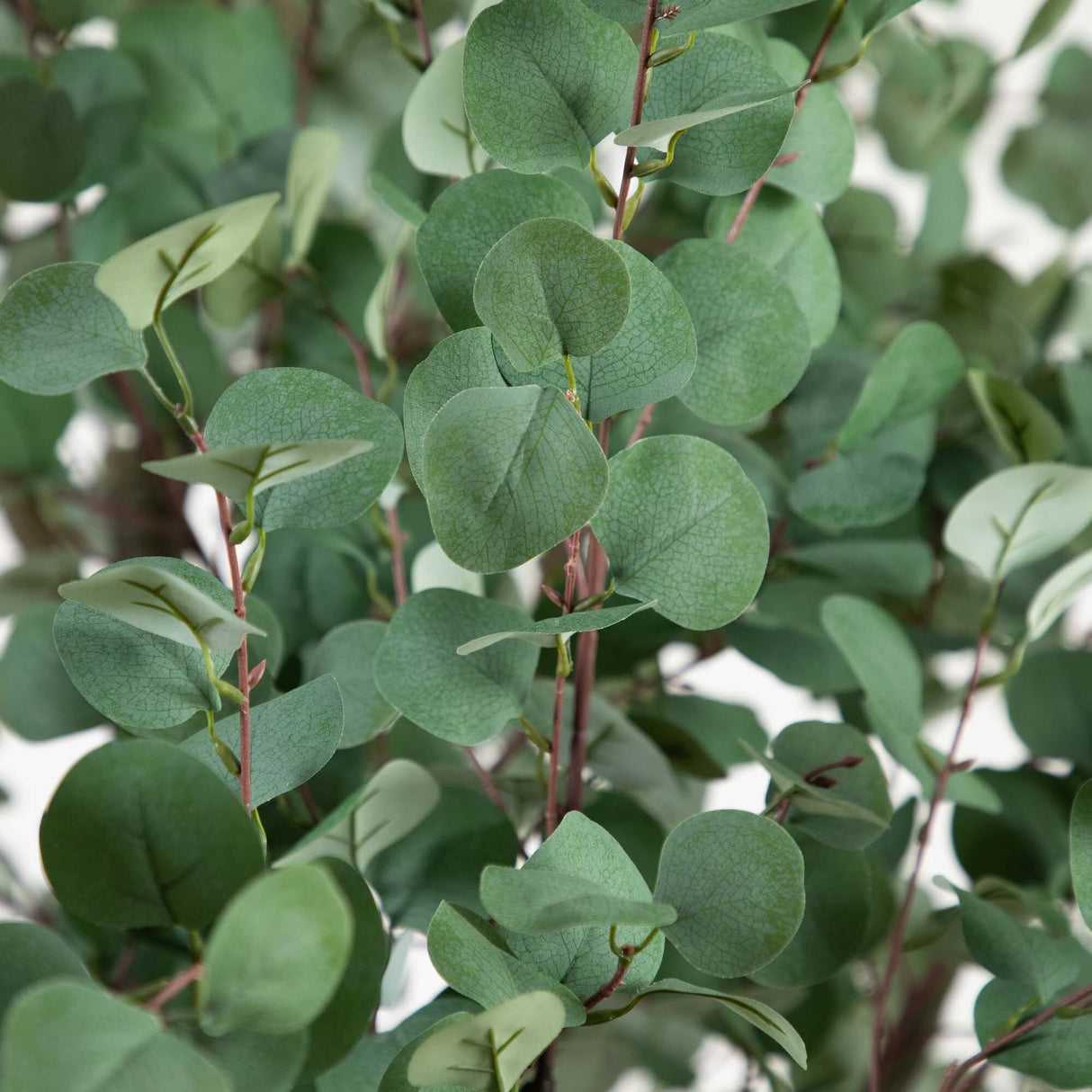 13’ Artificial Eucalyptus Tree-Tree-Parc Decor