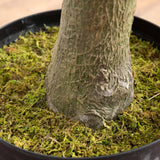 13’ Giant Artificial Olive Tree-Tree-Parc Decor