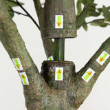 13’ Giant Artificial Olive Tree-Tree-Parc Decor