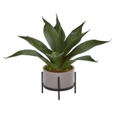 14” Agave Succulent in Decorative Planter-Parc Decor