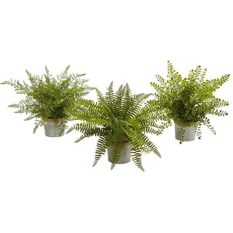 14” Assorted Ferns with Planter Artificial Plant (Set of 3)-Parc Decor