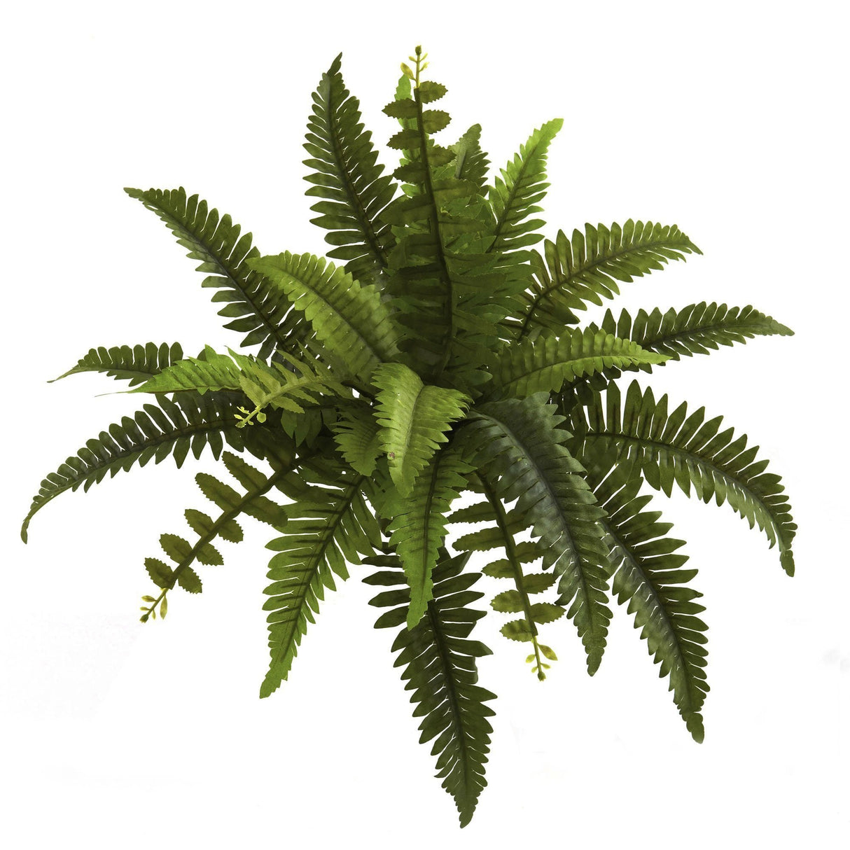 14” Boston Fern Artificial Plant (Set of 6)-Parc Decor