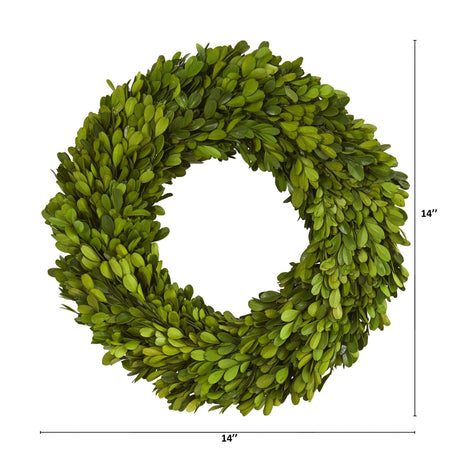 14” Preserved Boxwood Wreath-Parc Decor