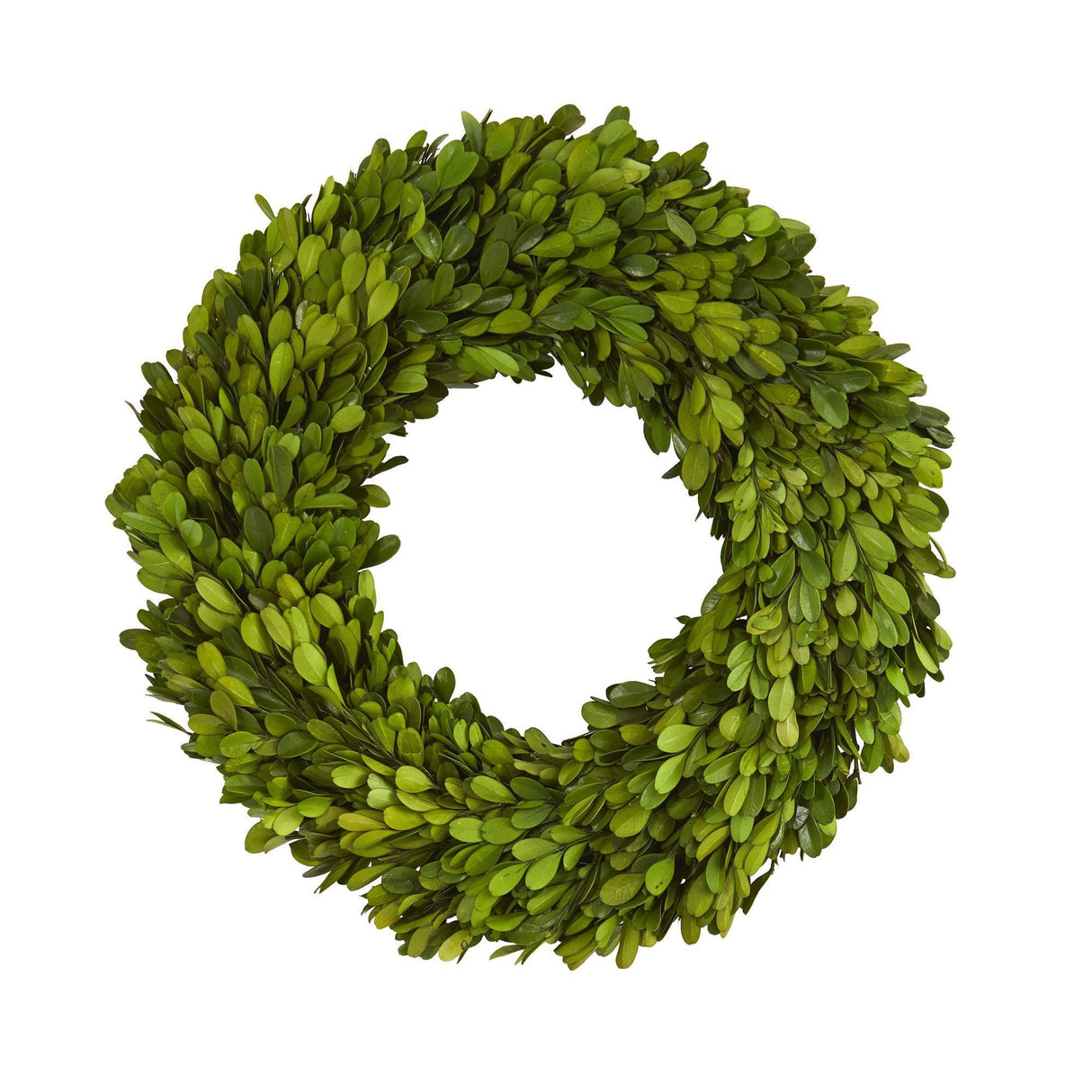 14” Preserved Boxwood Wreath-Parc Decor