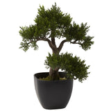 15” Artificial Cedar Bonsai Tree-Parc Decor